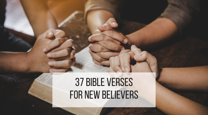 bible verses for new believers